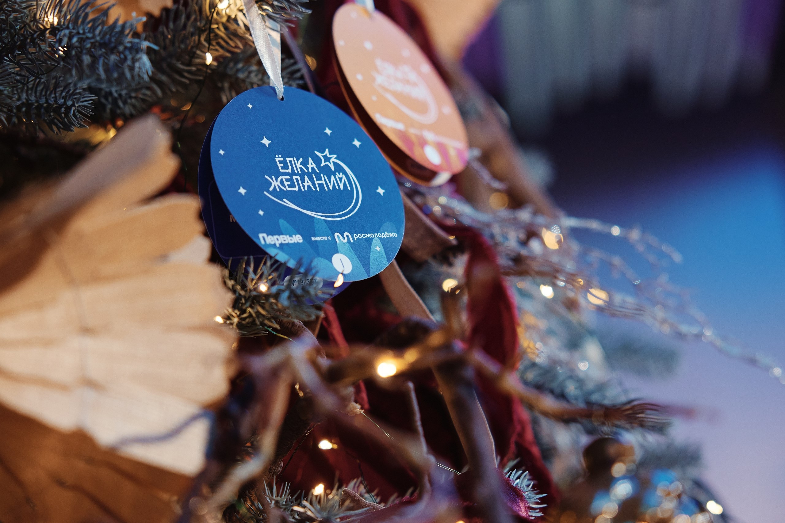«Ёлка желаний»